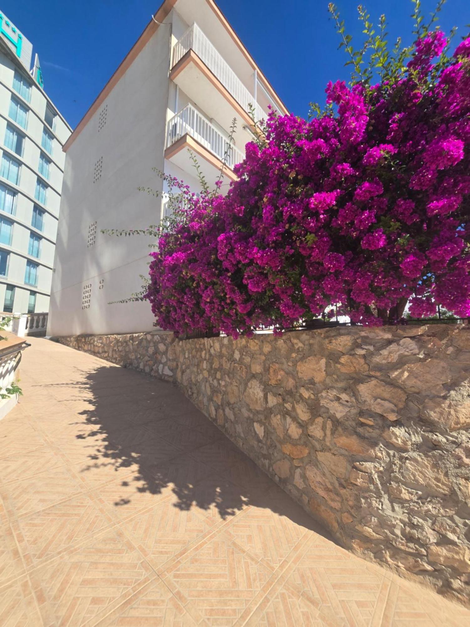 La Cantera Appartement Playa Peniscola Bagian luar foto